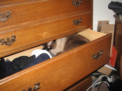 Sock drawer